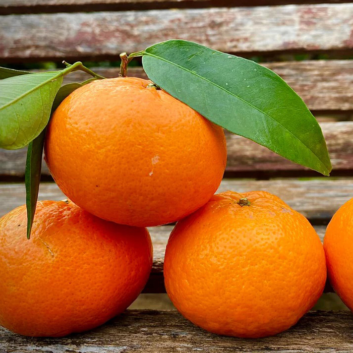 MANDARIN